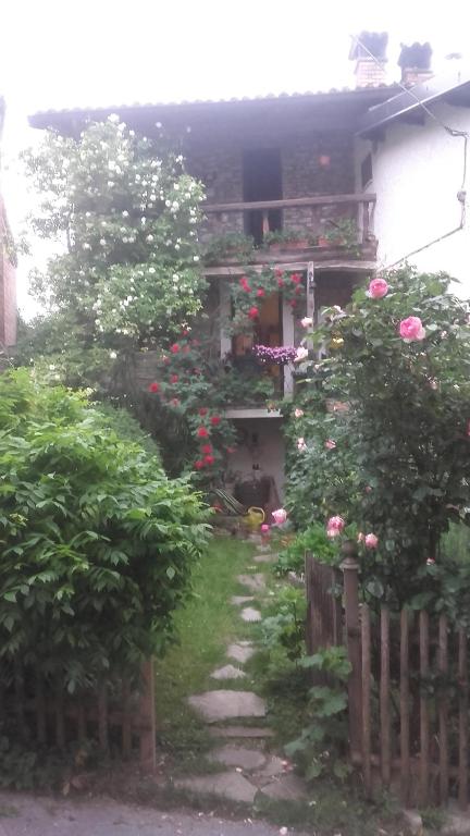a garden with roses in front of a house at La bicocca in Bobbio