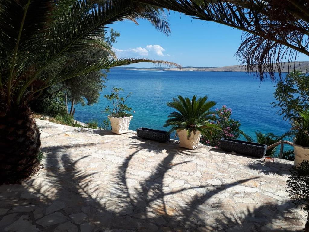 a view of the ocean from a resort with palm trees at Apartments Horvat on Island Pag in Vlašići
