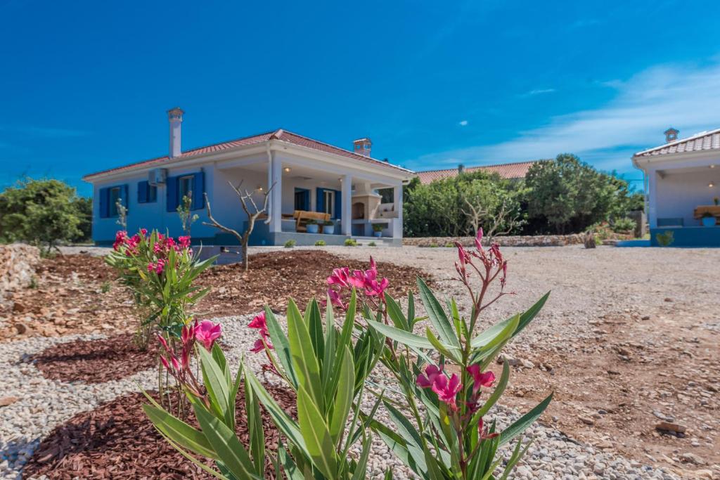 ein blaues Haus mit Blumen davor in der Unterkunft Sakarun House - Ivana in Veli Rat