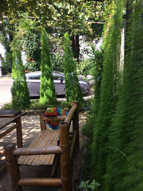 Zahrada ubytování Hotel Kobuleti