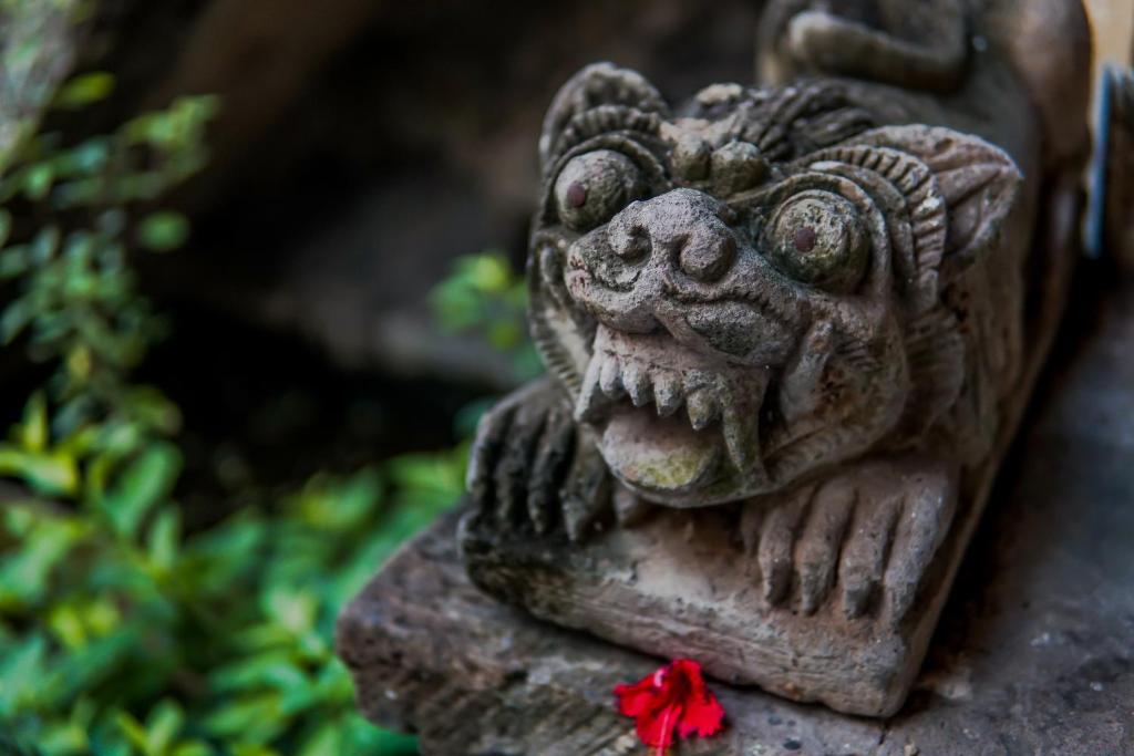 Fotografie z fotogalerie ubytování Ina Inn v Ubudu