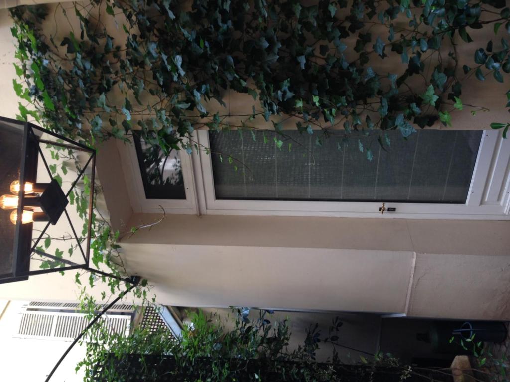 Hôtel Recamier - 13