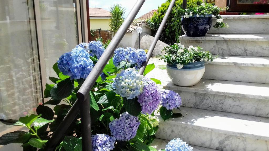 A garden outside Antico Casale Fabrizi