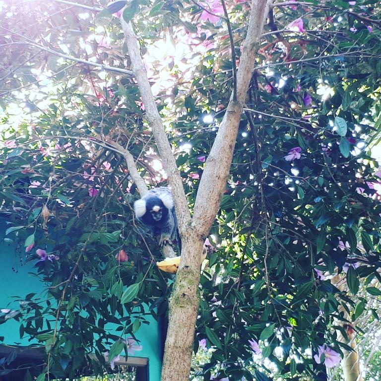  Recanto Brisa Nativa