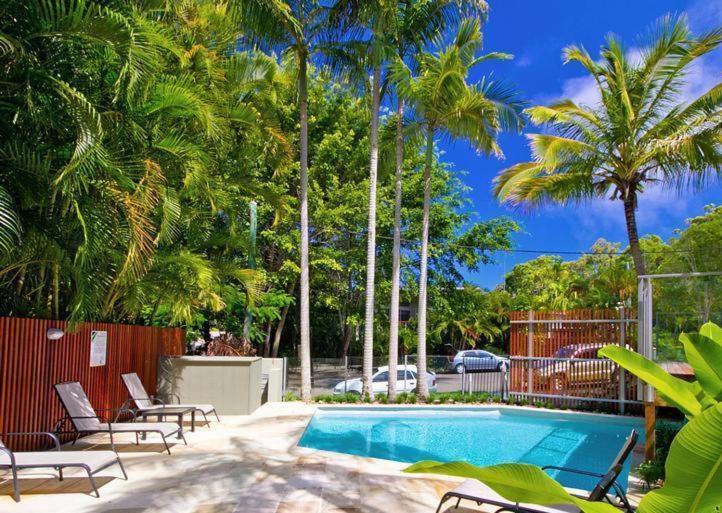 a swimming pool with lounge chairs and palm trees at Naousa II in Noosa Heads