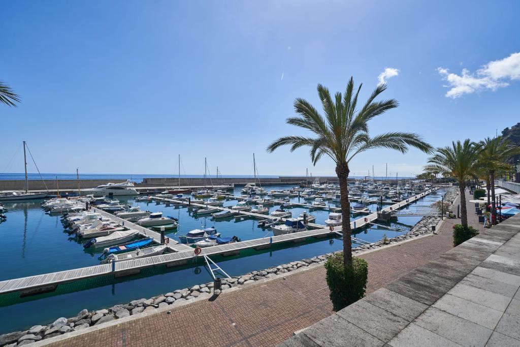 a marina filled with lots of boats in the water at Marina Rooms in Calheta