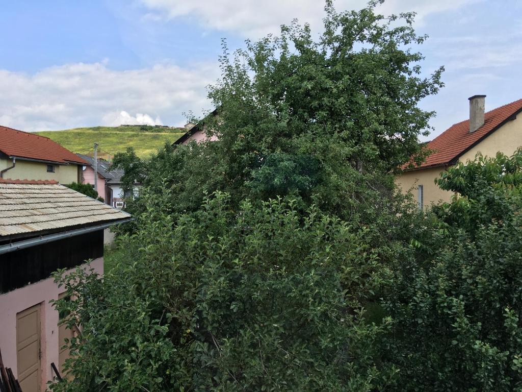 Příroda nedaleko chaty