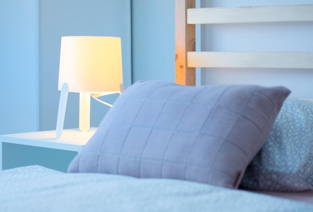 Postel nebo postele na pokoji v ubytování Apartman Višnja