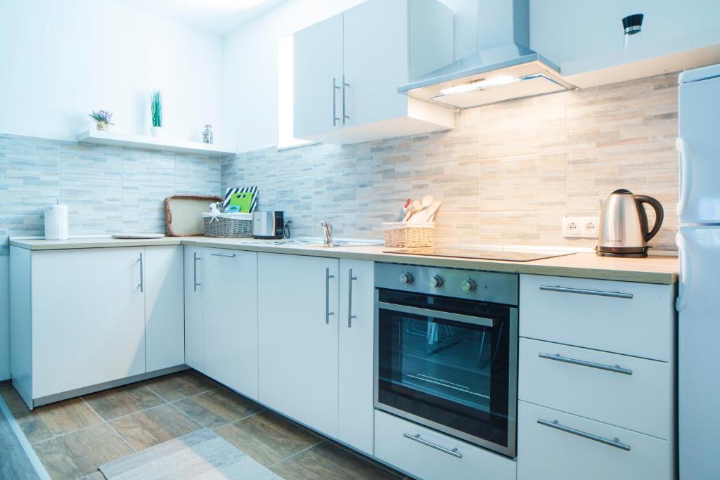 Kuchyň nebo kuchyňský kout v ubytování Apartman Višnja
