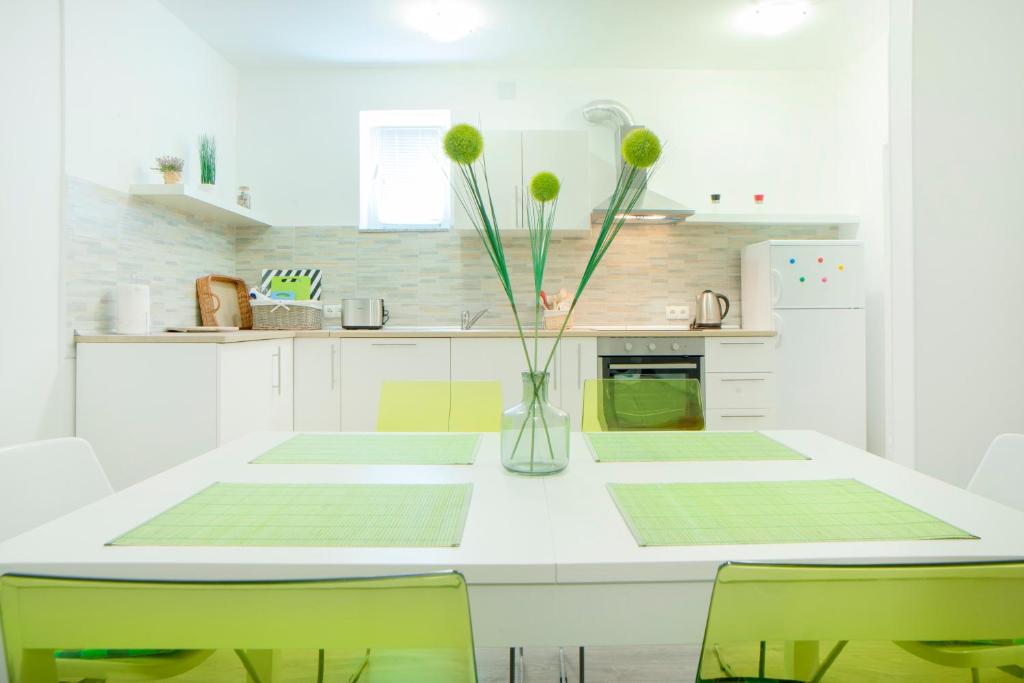 Kuchyň nebo kuchyňský kout v ubytování Apartman Višnja