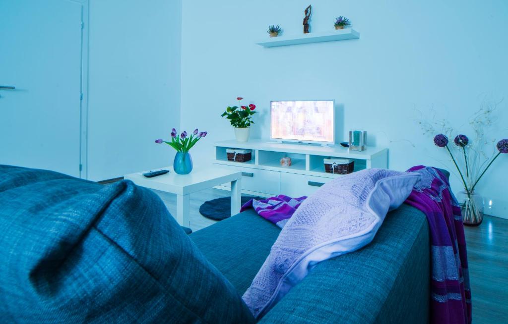 TV a/nebo společenská místnost v ubytování Apartman Višnja