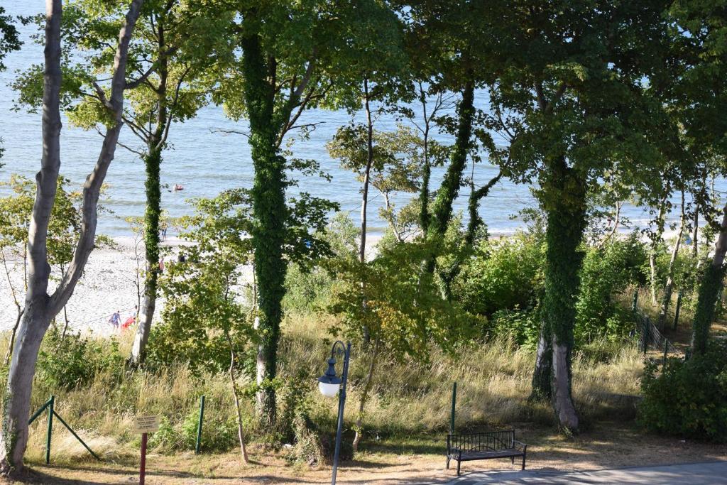 Príroda v okolí apartmánu