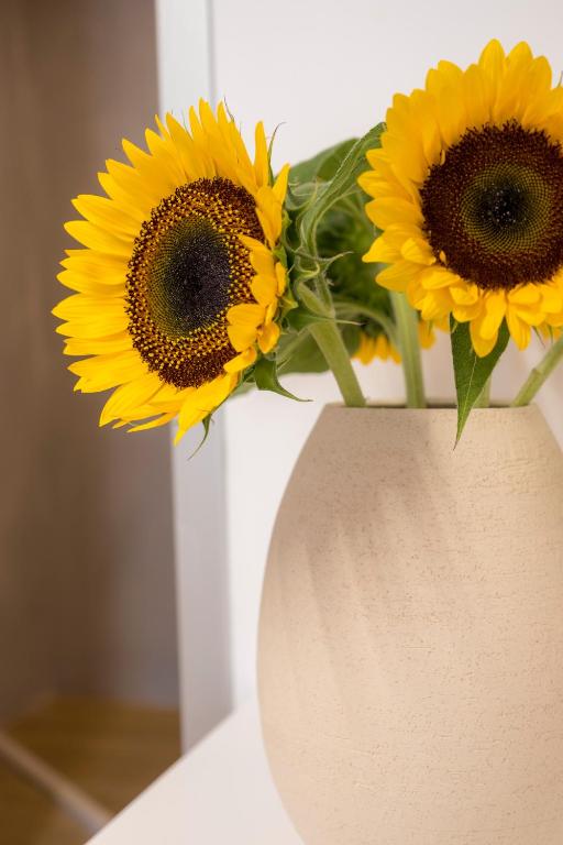 Aelios Design Hotel - 15