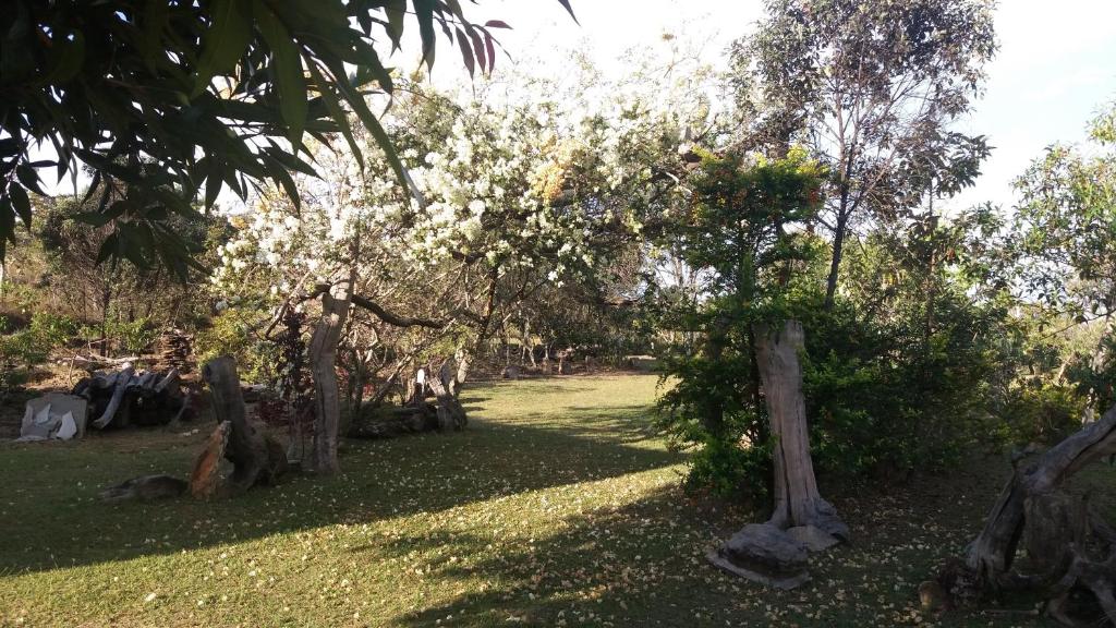 un parque con árboles y gente sentada en el césped en Pousada Sitio da Serra en Carrancas