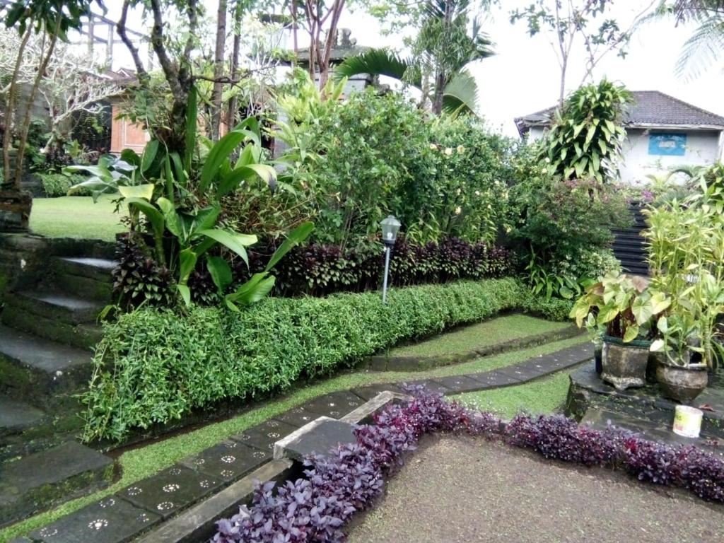 a garden with purple flowers and a parking meter at Puri Agung Inn in Sidemen