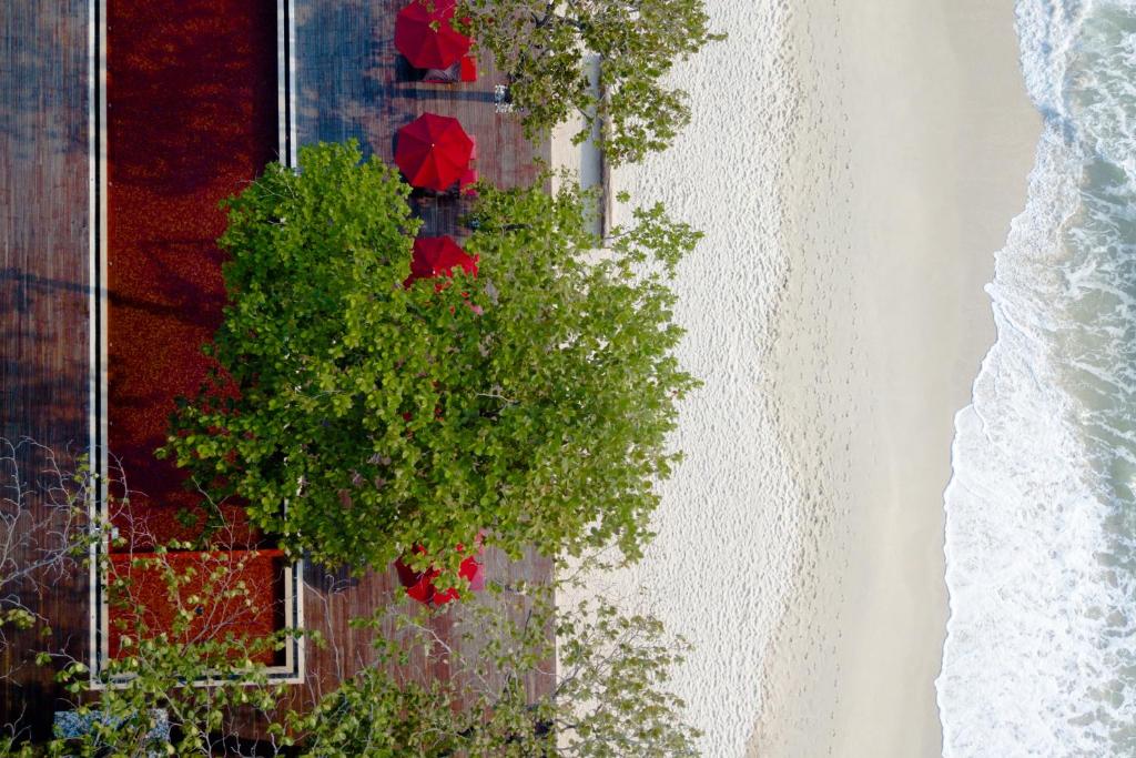 ein Spiegelbild eines Baumes mit roten Regenschirmen im Fenster in der Unterkunft The Secret Pool Villas By The Library Koh Samui - SHA Extra Plus in Chaweng