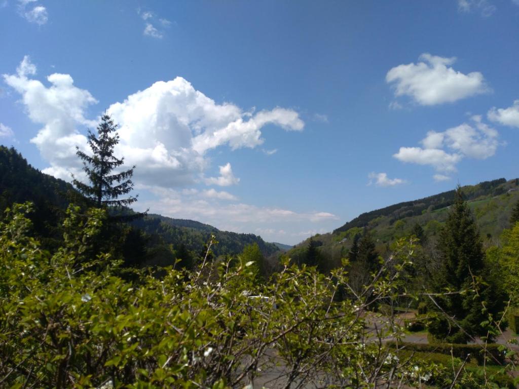 Photo de la galerie de l'établissement Le Relais Charraud, à Le Mont-Dore