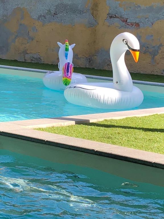 Bazén v ubytování Hotel Lauro nebo v jeho okolí