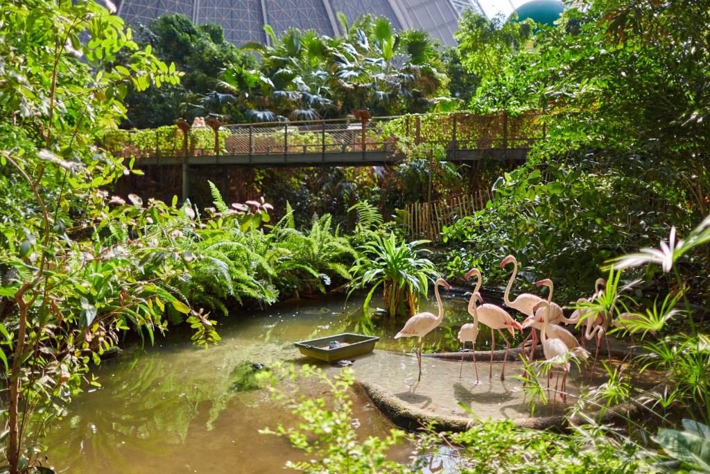 Κήπος έξω από το Tropical Islands