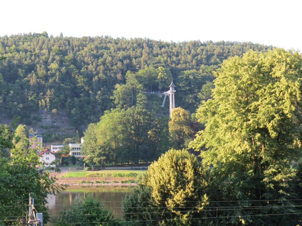 a view of a river with trees and a windmill at Ferienwohnung Morgensonne in Bad Schandau