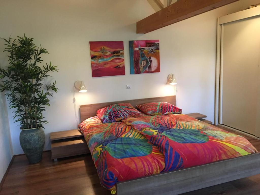 a bedroom with a bed with a colorful comforter and a plant at The Old Barn in Hoevelaken