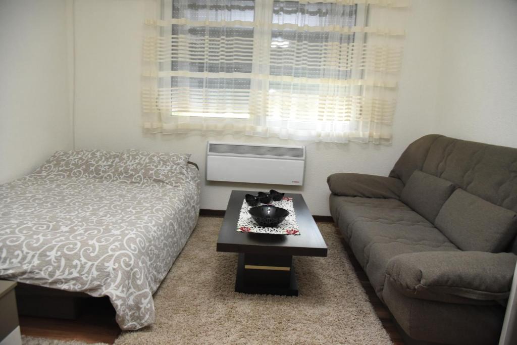Posezení v ubytování Apartmani Sofronic Loznica 1
