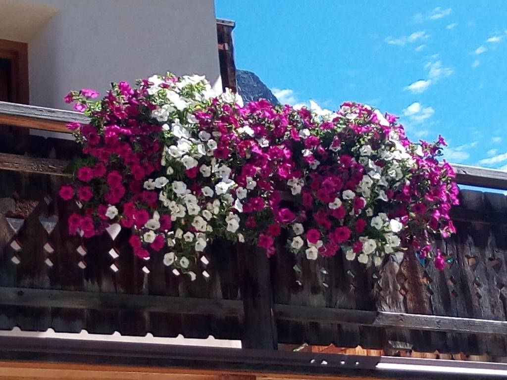 Balkon ili terasa u objektu Chalet Roberta