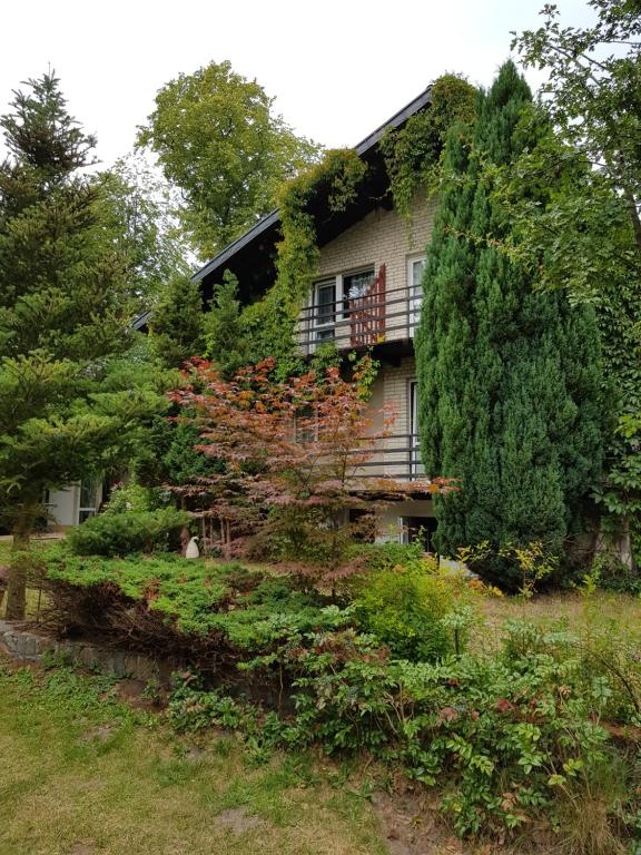 a house is covered in plants and trees at Pokoje i apartamenty przy Sosnowej in Poddąbie