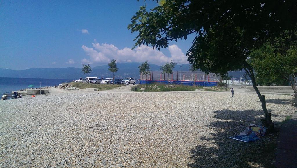 Příroda nedaleko apartmánu