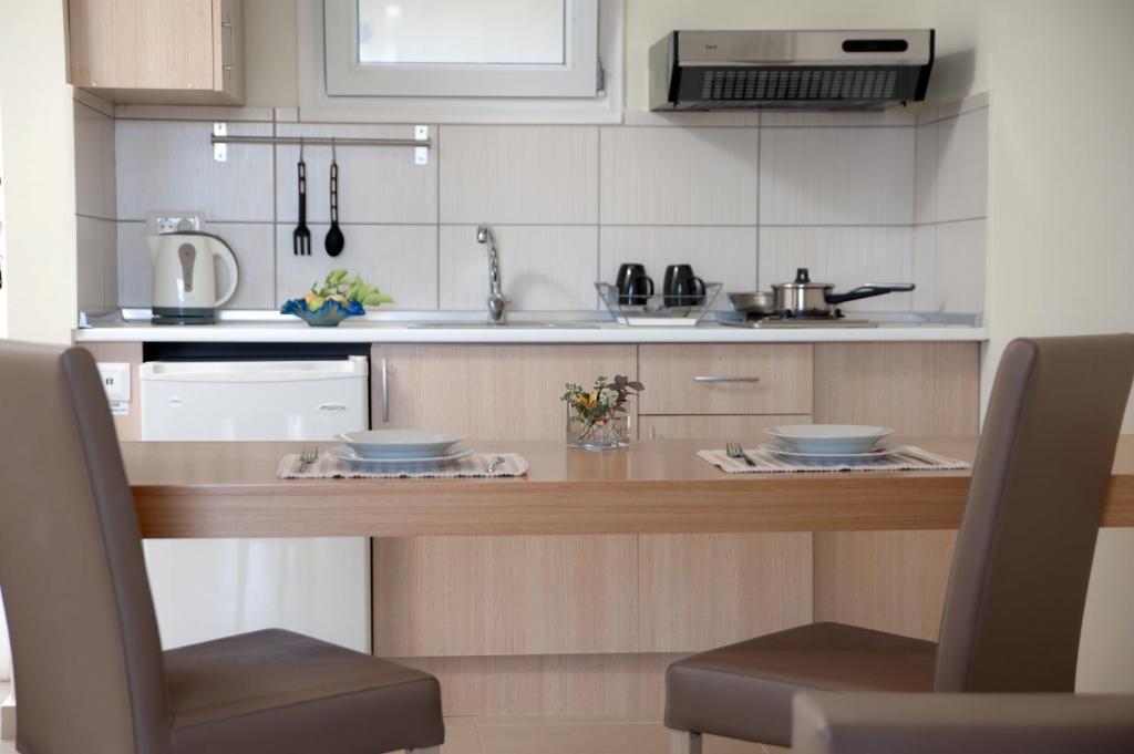 Kuchyň nebo kuchyňský kout v ubytování Hotel Estia
