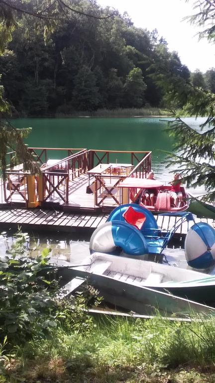 Příroda nedaleko hostelu