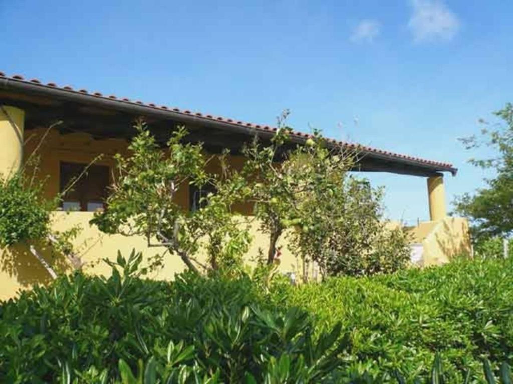 una casa con un árbol delante de ella en la casa di titti e jack, en Malfa