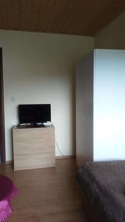 TV a/nebo společenská místnost v ubytování Ginto svetingi namai