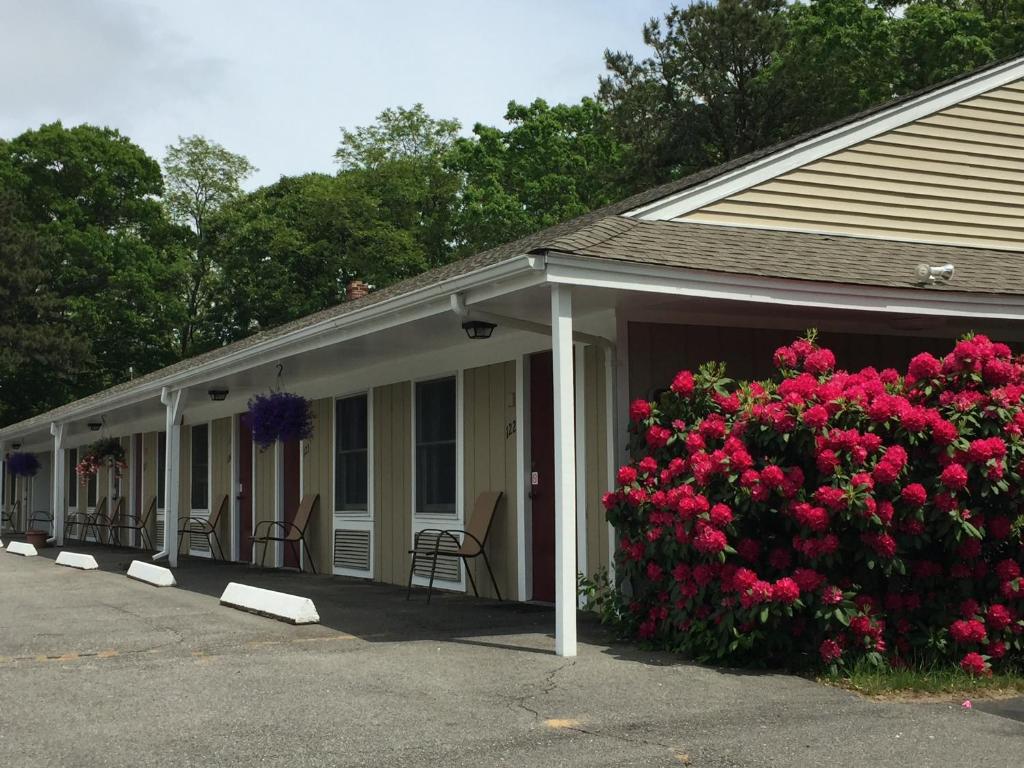 Viking Shores Motor Inn - 
