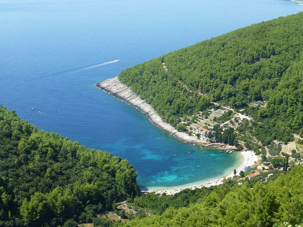 an aerial view of a beach with trees and water at VILLA Apartments Mate Cebalo in Lumbarda
