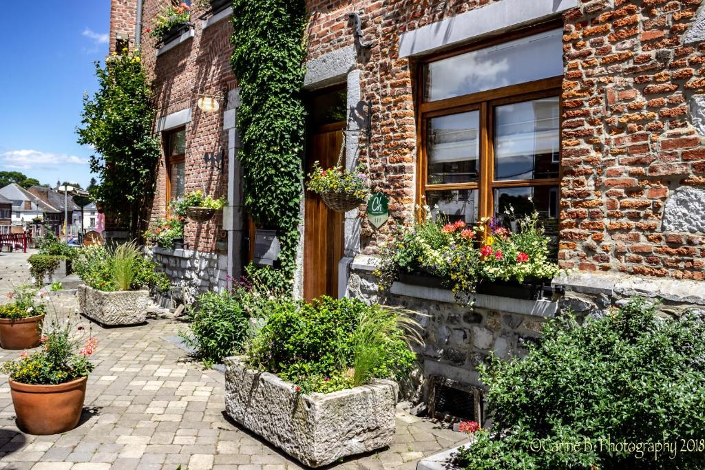 un groupe de plantes en pot devant un bâtiment dans l'établissement Confluences, à Walcourt