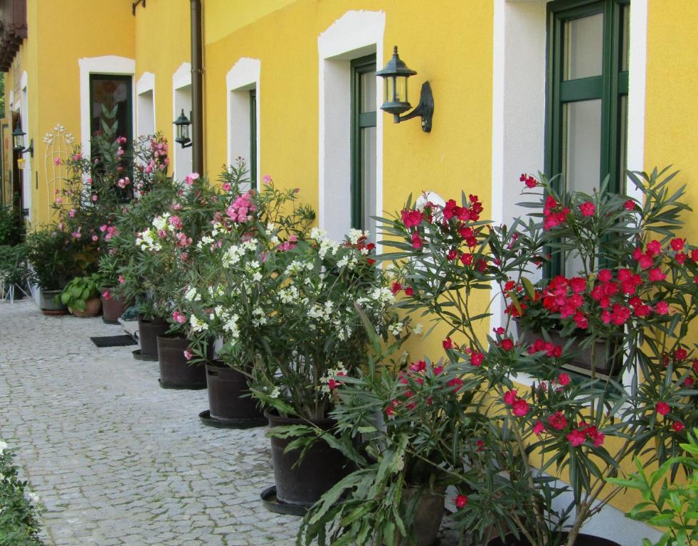 Zahrada ubytování Villa Kreuthhof Appartements
