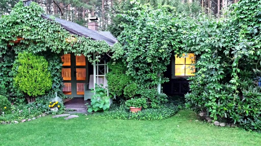 einen Garten mit einem von Efeu bedeckten Haus in der Unterkunft Domek Letniskowy na Kaszubach lub Apartament z Kominkiem in Puck