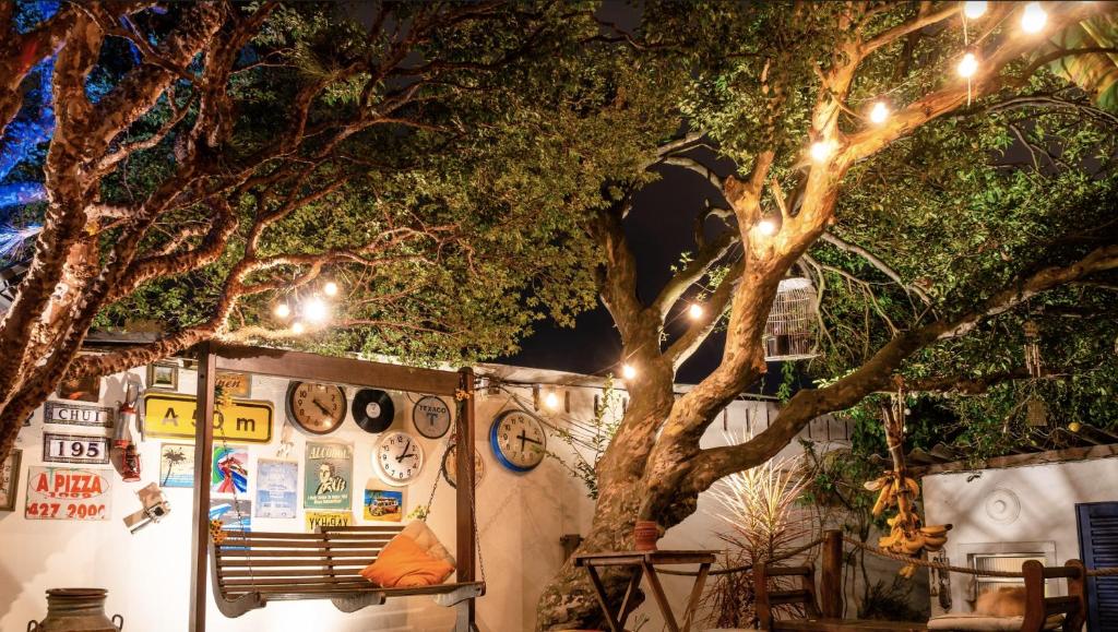  Paradiso Hostel
