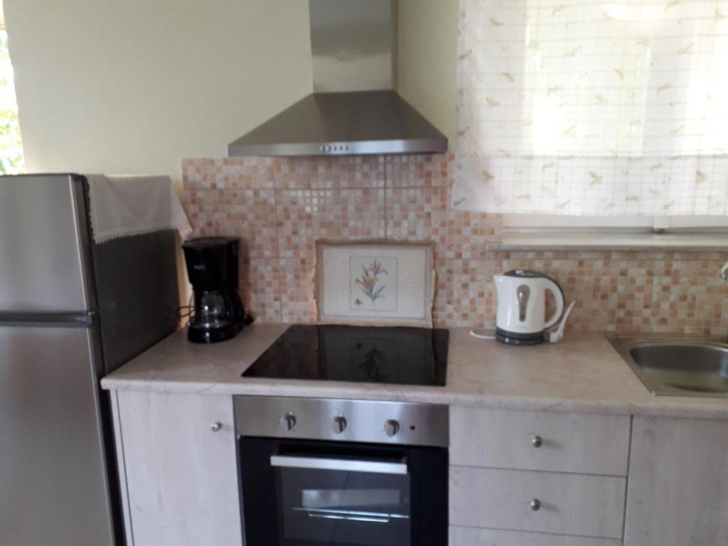 cocina con fogones horno de arriba junto a una nevera en Mulberry Home, en Likotinaréa