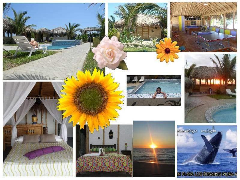 Fotografie z fotogalerie ubytování Bora Bora Bungalows v destinaci Los Órganos