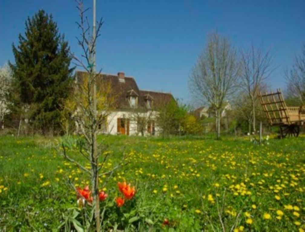 a field of flowers in front of a house at Chambres d'Hôtes Les Pierries in Vézannes
