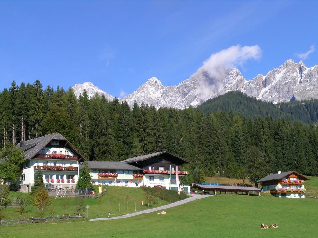 a group of buildings in front of a mountain at Hotel Tischlbergerhof in Ramsau am Dachstein