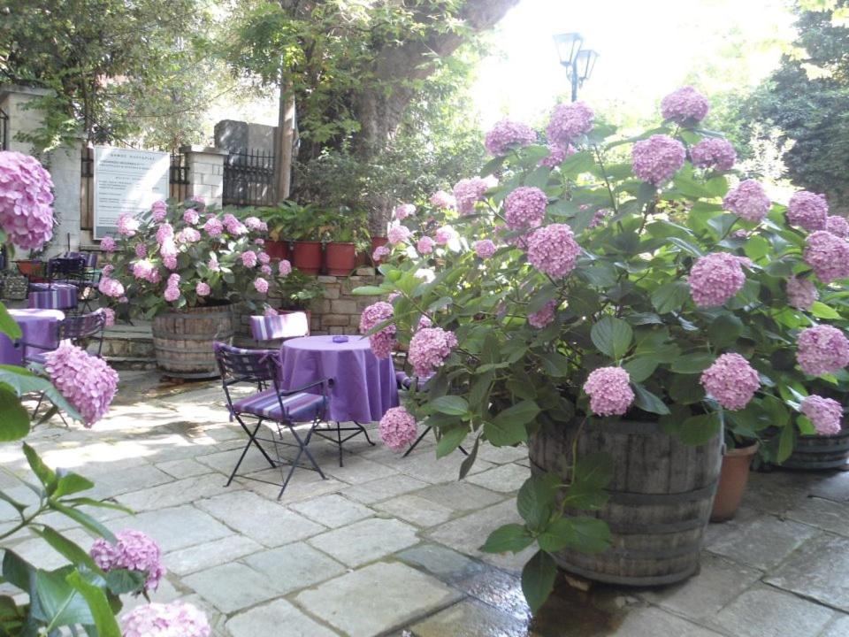 Zahrada ubytování Hotel Filoxenia