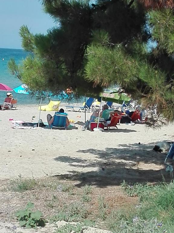Príroda v okolí apartmánu