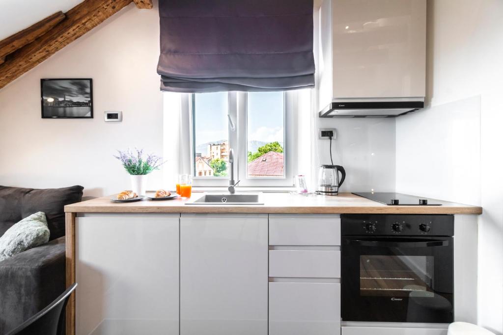Kuchyňa alebo kuchynka v ubytovaní Luxury Apartment Sea View