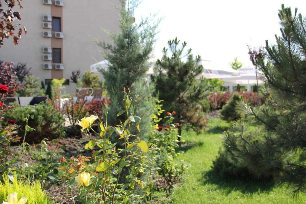 Zahrada ubytování Vila Sangria