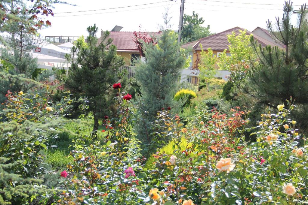 Zahrada ubytování Vila Sangria