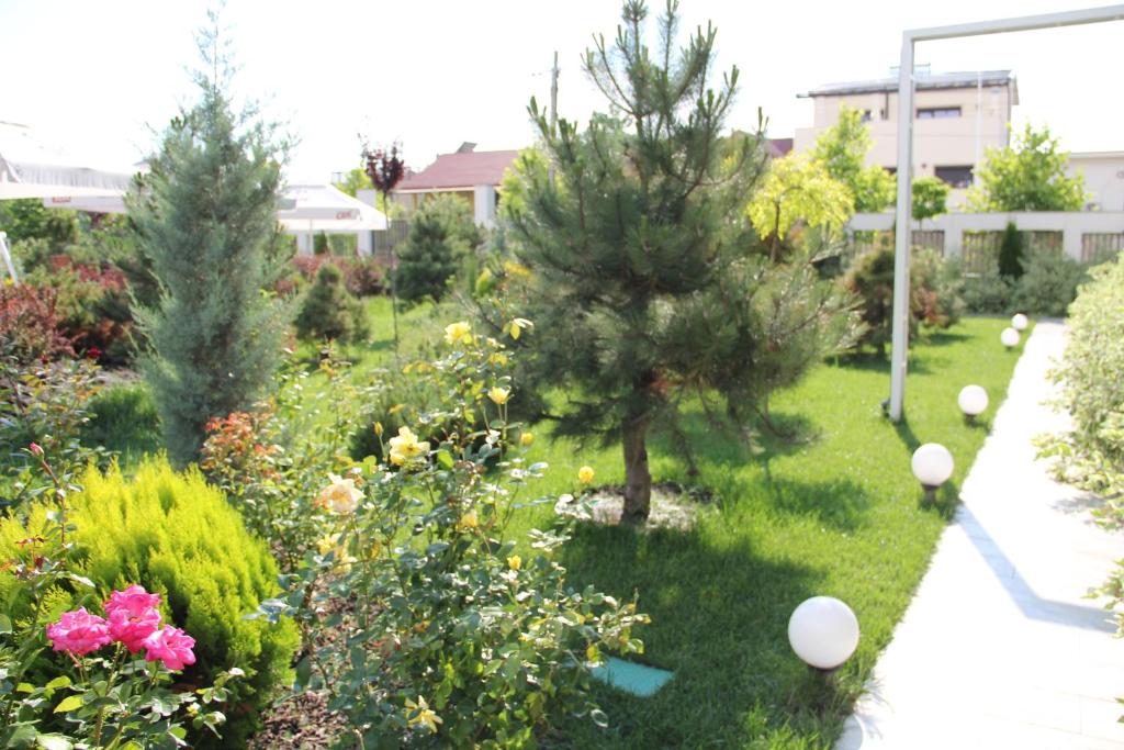 Zahrada ubytování Vila Sangria
