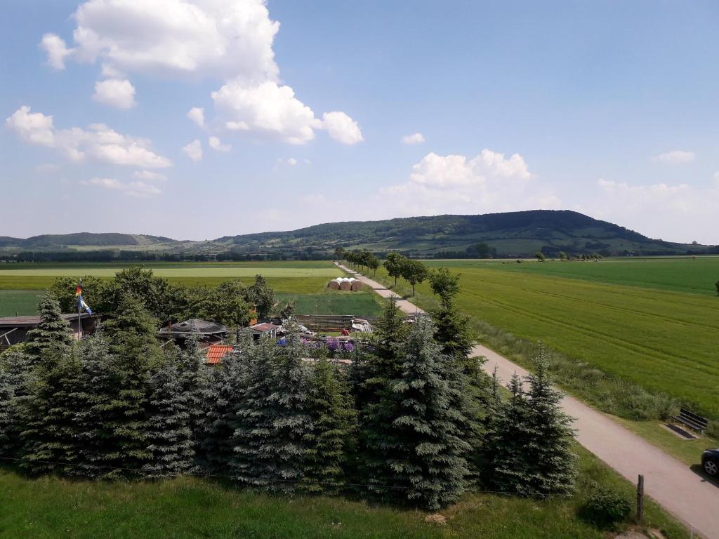 an aerial view of a farm with trees and a road at Ferienwohnung Grote in Deensen